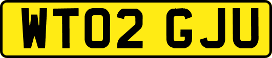 WT02GJU