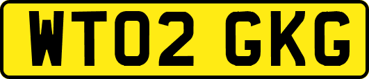 WT02GKG