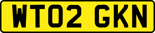 WT02GKN