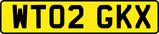 WT02GKX