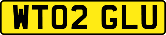 WT02GLU