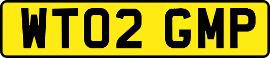 WT02GMP