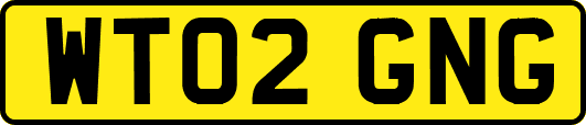 WT02GNG