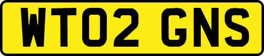 WT02GNS