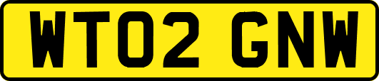 WT02GNW
