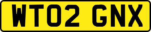 WT02GNX