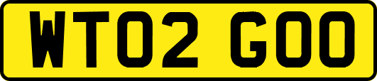 WT02GOO