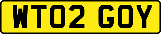 WT02GOY