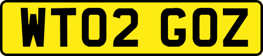 WT02GOZ