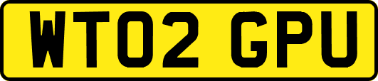 WT02GPU