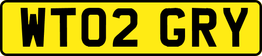 WT02GRY