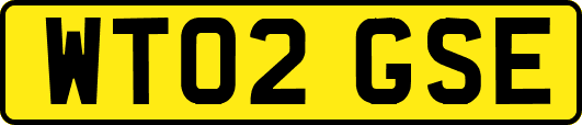 WT02GSE