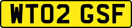 WT02GSF