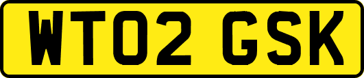 WT02GSK