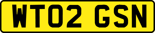 WT02GSN