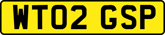 WT02GSP