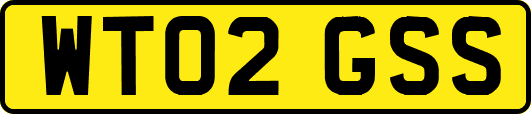 WT02GSS