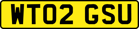 WT02GSU