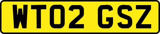 WT02GSZ