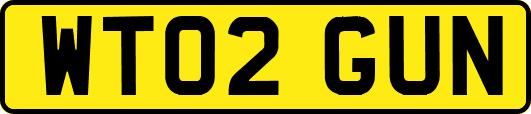 WT02GUN