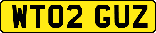 WT02GUZ