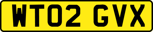 WT02GVX