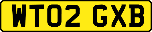 WT02GXB