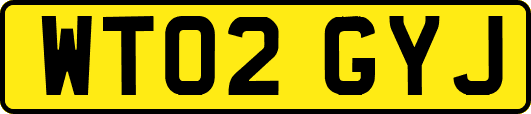 WT02GYJ