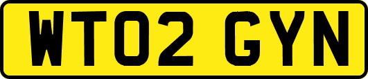 WT02GYN