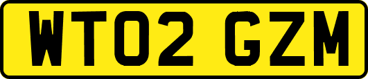WT02GZM