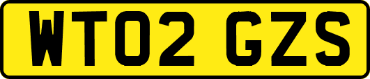 WT02GZS