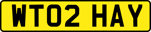 WT02HAY