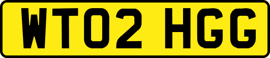 WT02HGG
