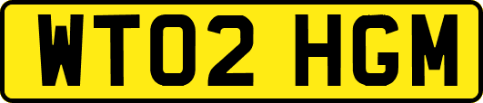 WT02HGM