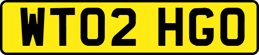 WT02HGO