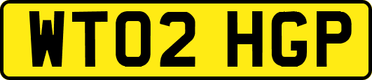 WT02HGP