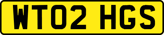 WT02HGS