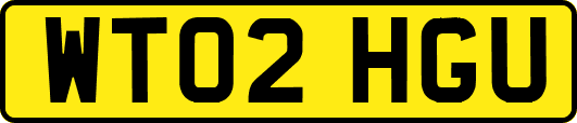 WT02HGU