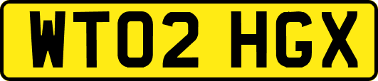 WT02HGX