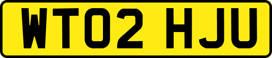 WT02HJU