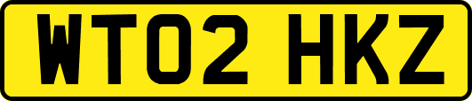 WT02HKZ