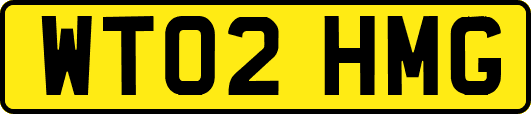 WT02HMG