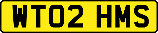WT02HMS