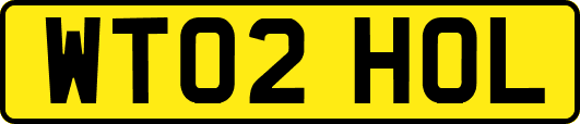 WT02HOL