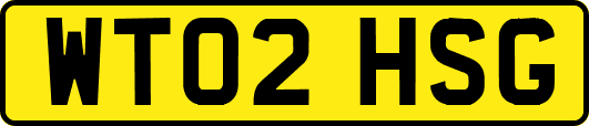 WT02HSG