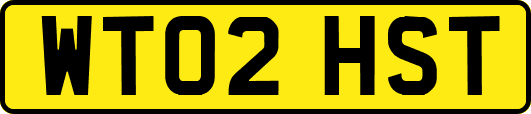 WT02HST