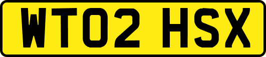 WT02HSX