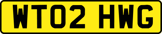WT02HWG