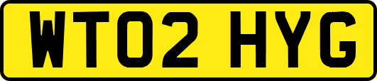 WT02HYG