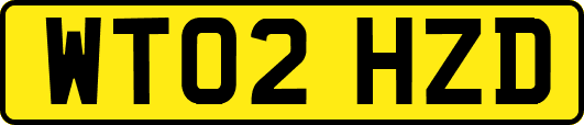 WT02HZD